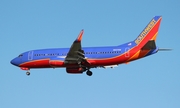 Southwest Airlines Boeing 737-3H4 (N637SW) at  Tampa - International, United States