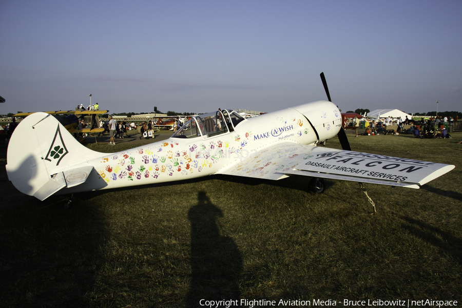 (Private) Yakovlev Yak-50 (N63RA) | Photo 172276