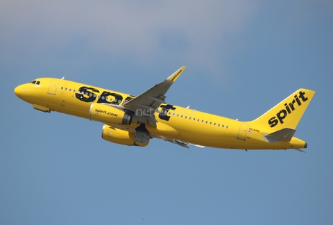 Spirit Airlines Airbus A320-232 (N641NK) at  Tampa - International, United States