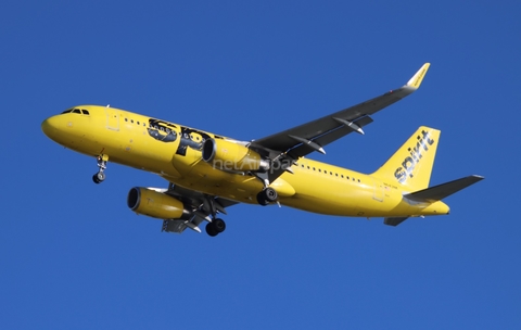 Spirit Airlines Airbus A320-232 (N643NK) at  Tampa - International, United States