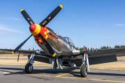 (Private) North American P-51D Mustang (N64824) at  Bremerton National, United States