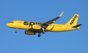 Spirit Airlines Airbus A320-232 (N649NK) at  Tampa - International, United States