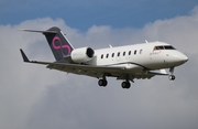 Zetta Jet Bombardier CL-600-2B16 Challenger 650 (N650ZJ) at  Orlando - Executive, United States