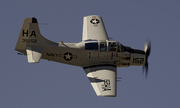 Cavanaugh Flight Museum Douglas AD-5W (EA-1E)Skyraider (N65164) at  Ft. Worth - Alliance, United States