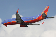 Southwest Airlines Boeing 737-3H4 (N651SW) at  Tampa - International, United States