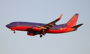 Southwest Airlines Boeing 737-3H4 (N653SW) at  Tampa - International, United States