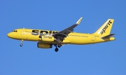 Spirit Airlines Airbus A320-232 (N655NK) at  Tampa - International, United States