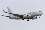 Hillwood Airways Boeing 737-7BD (N660CP) at  Windsor Locks - Bradley International, United States