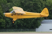 (Private) Piper PA-18 Super Cub (N660G) at  Oshkosh - Wittman Regional, United States