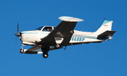 (Private) Beech A36 Bonanza (N669RP) at  Dallas - Addison, United States