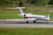 (Private) Gulfstream G-V-SP (G550) (N676RW) at  Sao Paulo - Guarulhos - Andre Franco Montoro (Cumbica), Brazil