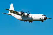 Pallas Aviation Lockheed Martin LM-100J Super Hercules (N67AU) at  Ramstein AFB, Germany