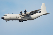 Pallas Aviation Lockheed Martin LM-100J Super Hercules (N67AU) at  Ramstein AFB, Germany