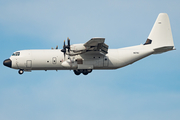 Pallas Aviation Lockheed Martin LM-100J Super Hercules (N67AU) at  Ramstein AFB, Germany