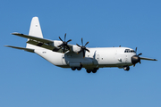 Pallas Aviation Lockheed Martin LM-100J Super Hercules (N67AU) at  Ramstein AFB, Germany