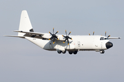 Pallas Aviation Lockheed Martin LM-100J Super Hercules (N67AU) at  Frankfurt am Main, Germany