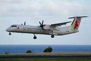 Island Air Bombardier DHC-8-402Q (N683WP) at  Lihue, United States