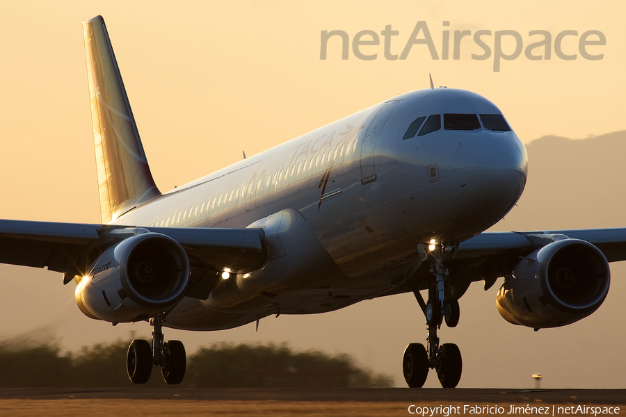 TACA International Airlines Airbus A320-233 (N684TA) | Photo 3628