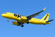 Spirit Airlines Airbus A320-232 (N692NK) at  Boston - Logan International, United States