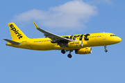 Spirit Airlines Airbus A320-232 (N695NK) at  Windsor Locks - Bradley International, United States