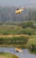Carson Helicopters Sikorsky S-61N MkII (N7011M) at  Off Airport - Montana, United States