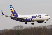Avelo Airlines Boeing 737-7H4 (N703VL) at  New Haven - Tweed Regional, United States