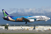 Alaska Airlines Boeing 737-490 (N705AS) at  Anchorage - Ted Stevens International, United States