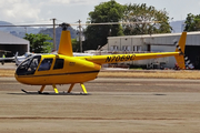 (Private) Robinson R44 Raven II (N7069C) at  San Juan - Fernando Luis Ribas Dominicci (Isla Grande), Puerto Rico