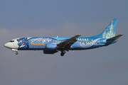 Alaska Airlines Boeing 737-490 (N706AS) at  Los Angeles - International, United States