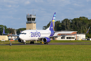 Avelo Airlines Boeing 737-7H4 (N708VL) at  New Haven - Tweed Regional, United States