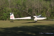 (Private) Glaser-Dirks DG-400 (N70BS) at  Clermont - Seminole Lake, United States