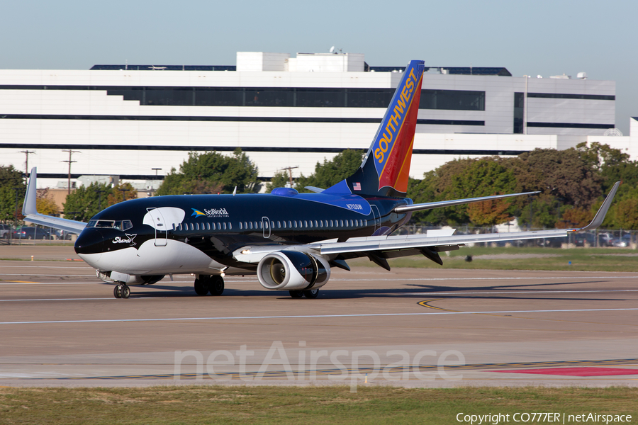 Southwest Airlines Boeing 737-7H4 (N713SW) | Photo 33952