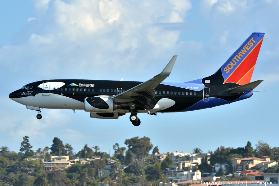 Southwest Airlines Boeing 737-7H4 (N713SW) | Photo 55208