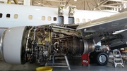 United Airlines Boeing 737-924 (N71411) at  Orlando - International (McCoy), United States