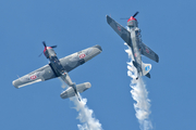 (Private) Yakovlev Yak-52TW (N718PH) at  Lakeland - Regional, United States