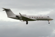 Clay Lacy Aviation Gulfstream G-IV (N719SA) at  San Juan - Luis Munoz Marin International, Puerto Rico