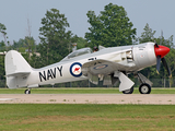 (Private) Hawker Sea Fury FB.11 (N71GB) at  Oshkosh - Wittman Regional, United States