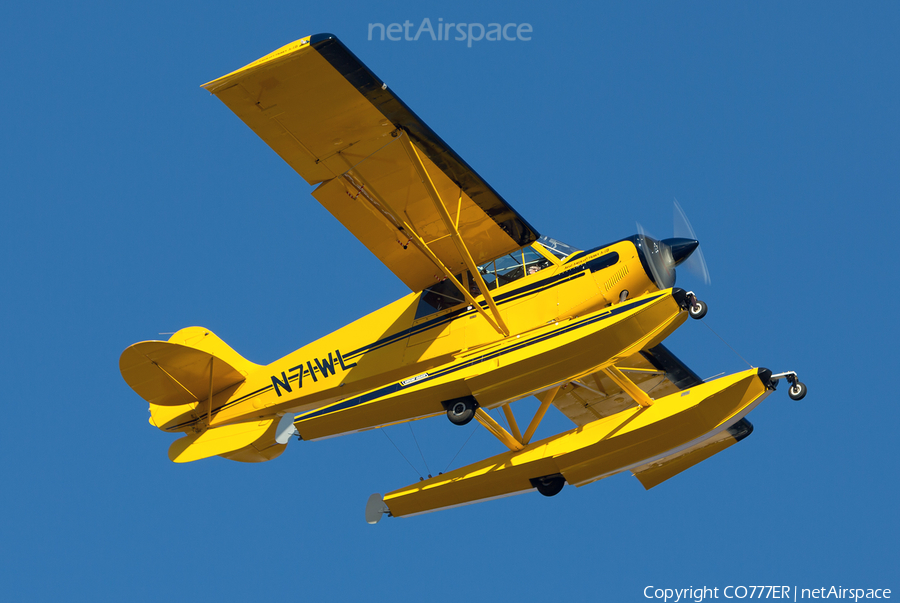 (Private) Aviat A-1B Husky (N71WL) | Photo 14821