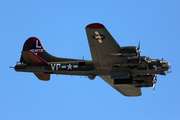 Commemorative Air Force Boeing B-17G Flying Fortress (N7227C) at  Ellington Field - JRB, United States