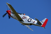 (Private) North American P-51D Mustang (N72FT) at  Heidelberg, South Africa