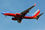 Southwest Airlines Boeing 737-7H4 (N736SA) at  Dallas - Love Field, United States
