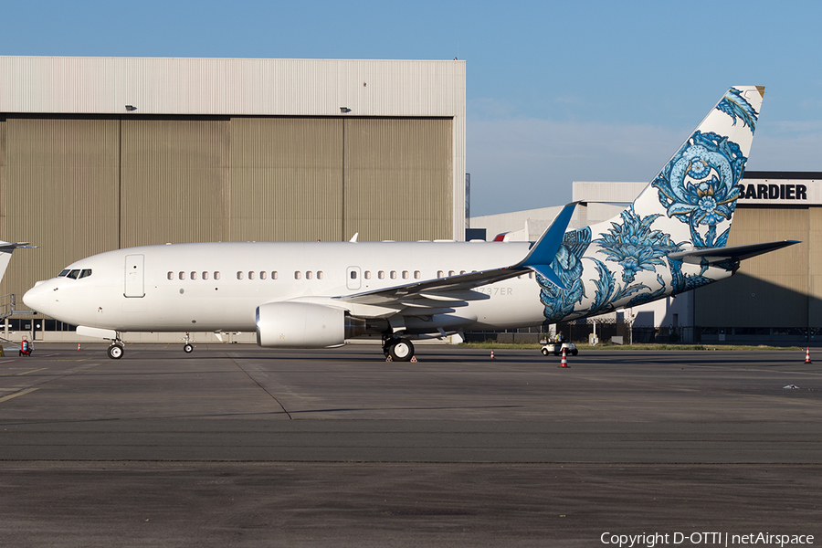 (Private) Boeing 737-7CJ(BBJ) (N737ER) | Photo 609363