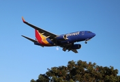 Southwest Airlines Boeing 737-7H4 (N739GB) at  Los Angeles - International, United States