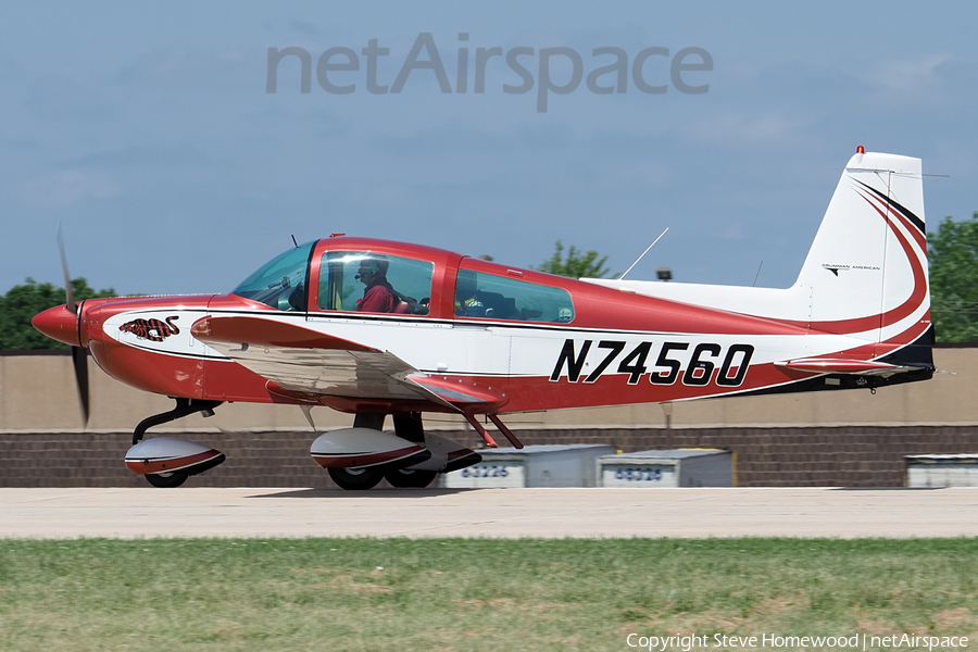 (Private) Grumman American AA-5B Tiger (N74560) | Photo 452156