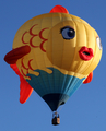 (Private) Lindstrand Balloons LBL 90A (N7500G) at  Albuquerque - Balloon Fiesta Park, United States