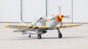 (Private) Titan T-51B Mustang (N751TA) at  Porter County - Regional, United States