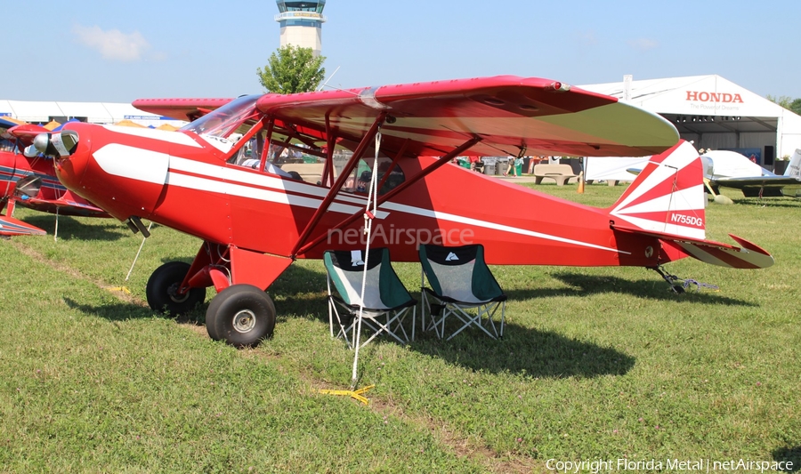 (Private) Wag-Aero CUBy Acro Trainer (N755DG) | Photo 305526