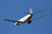 United Airlines Boeing 737-824 (N76505) at  Washington - Ronald Reagan National, United States