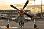 (Private) North American P-51D Mustang (N7715C) at  Las Vegas - Nellis AFB, United States