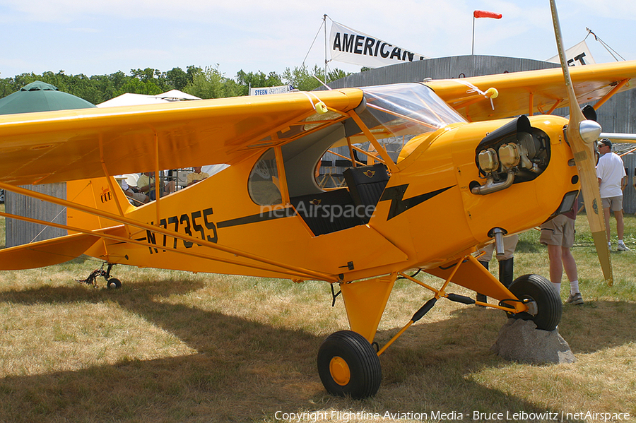 (Private) American Legend AL3C-100 (N77355) | Photo 168766